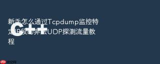 新手怎么通过Tcpdump监控特定IP段的非法UDP探测流量教程