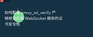 如何配置 proxy_ssl_verify 严格校验后端 websocket 服务的证书安全性