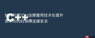 如何利用ssh连接复用技术在提升效率的同时保障连接安全