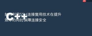 如何利用SSH连接复用技术在提升效率的同时保障连接安全
