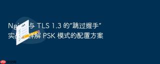 nginx 与 tls 1.3 的“跳过握手”实战：详解 psk 模式的配置方案