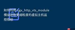 如何利用 ngx_http_vts_module 模块获取更细粒度的虚拟主机监控指标
