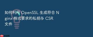 如何利用 openssl 生成符合 nginx 格式要求的私钥与 csr 文件
