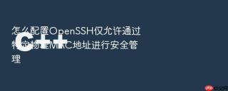 怎么配置openssh仅允许通过特定物理mac地址进行安全管理