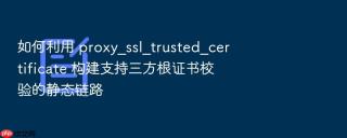 如何利用 proxy_ssl_trusted_certificate 构建支持三方根证书校验的静态链路
