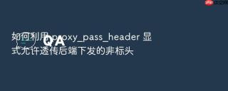 如何利用 proxy_pass_header 显式允许透传后端下发的非标头