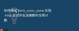 如何通过 limit_conn_zone 实现 http 层对并发连接数的全局计数