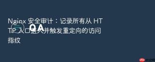 nginx 安全审计:记录所有从 http 入口进入并触发重定向的访问指纹