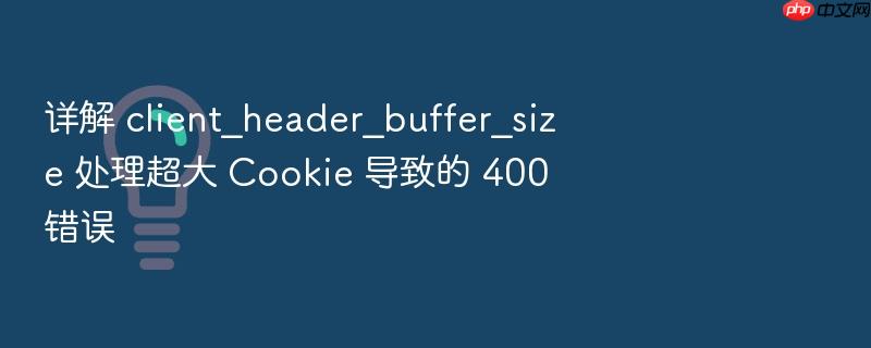 详解 client_header_buffer_size 处理超大 cookie 导致的 400 错误