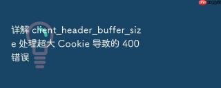 详解 client_header_buffer_size 处理超大 cookie 导致的 400 错误
