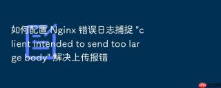 如何配置 nginx 错误日志捕捉 \