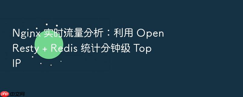 nginx 实时流量分析:利用 openresty + redis 统计分钟级 top ip