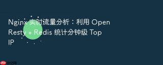 nginx 实时流量分析:利用 openresty + redis 统计分钟级 top ip