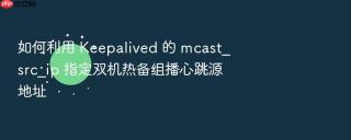 如何利用 keepalived 的 mcast_src_ip 指定双机热备组播心跳源地址