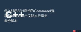 怎么利用ssh密钥的command选项限制特定用户仅能执行指定备份脚本
