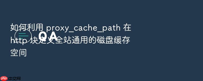 如何利用 proxy_cache_path 在 http 块定义全站通用的磁盘缓存空间