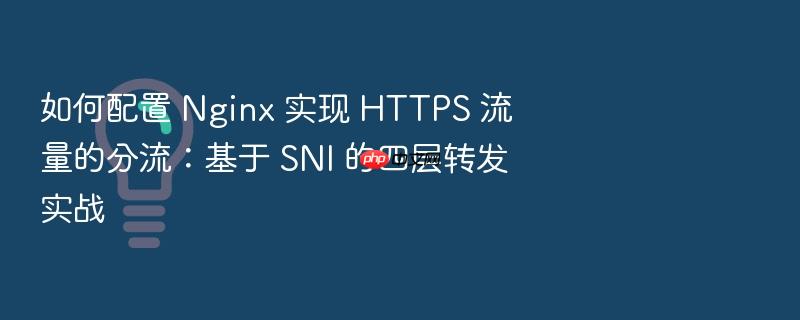 如何配置 nginx 实现 https 流量的分流:基于 sni 的四层转发实战