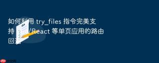 如何利用 try_files 指令完美支持 vue/react 等单页应用的路由回退