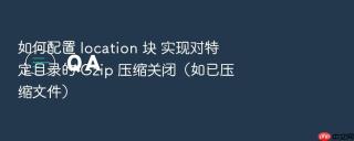 如何配置 location 块 实现对特定目录的 gzip 压缩关闭(如已压缩文件)
