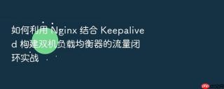 如何利用 nginx 结合 keepalived 构建双机负载均衡器的流量闭环实战