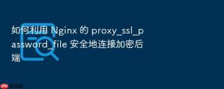 如何利用 nginx 的 proxy_ssl_password_file 安全地连接加密后端