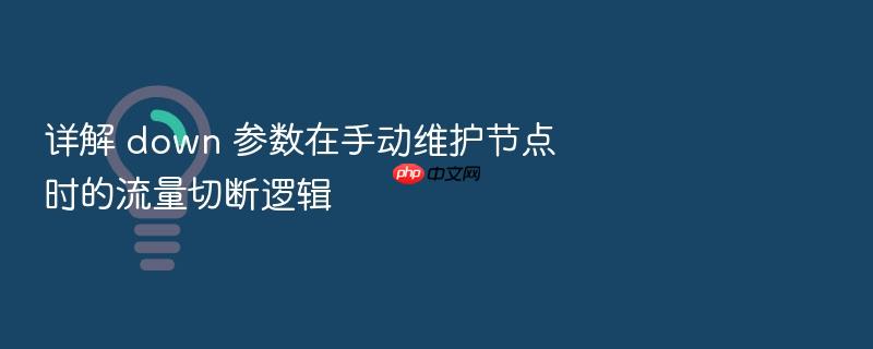 详解 down 参数在手动维护节点时的流量切断逻辑