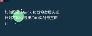 如何配置 nginx 负载均衡层实现针对不同业务接口的实时带宽审计