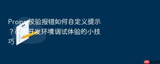 props 校验报错如何自定义提示?改善开发环境调试体验的小技巧