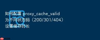 如何配置 proxy_cache_valid 为不同状态码（200/301/404）设置缓存时长