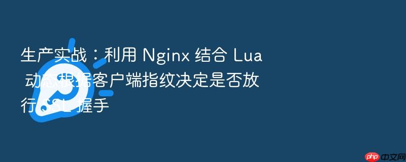 生产实战:利用 nginx 结合 lua 动态根据客户端指纹决定是否放行 ssl 握手