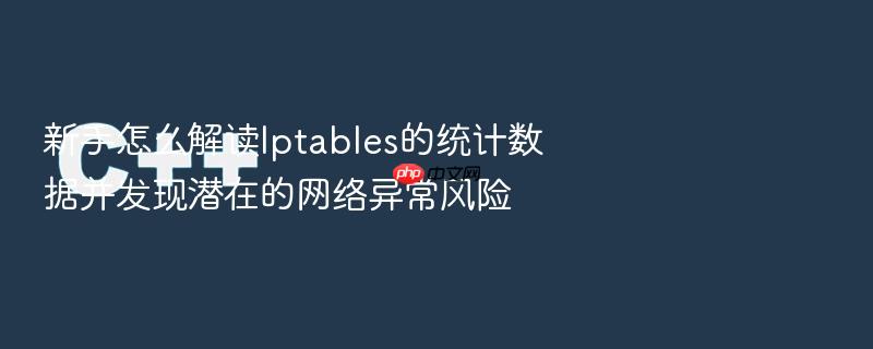 新手怎么解读iptables的统计数据并发现潜在的网络异常风险