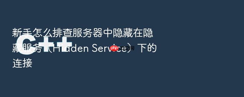 新手怎么排查服务器中隐藏在隐藏服务(hidden service)下的连接