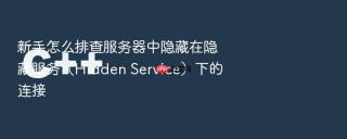 新手怎么排查服务器中隐藏在隐藏服务（hidden service）下的连接