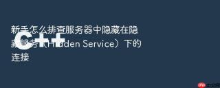 新手怎么排查服务器中隐藏在隐藏服务（Hidden Service）下的连接