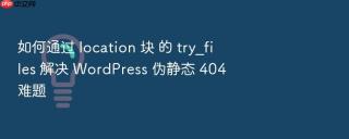 如何通过 location 块 的 try_files 解决 wordpress 伪静态 404 难题
