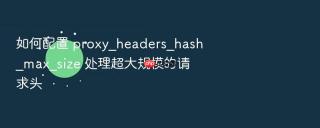 如何配置 proxy_headers_hash_max_size 处理超大规模的请求头