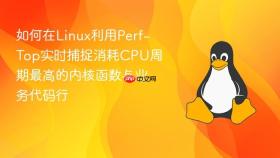 如何在linux利用perf-top实时捕捉消耗cpu周期最高的内核函数与业务代码行
