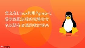 怎么在linux利用pgrep-l显示匹配进程的完整命令名以防在资源回收时误杀