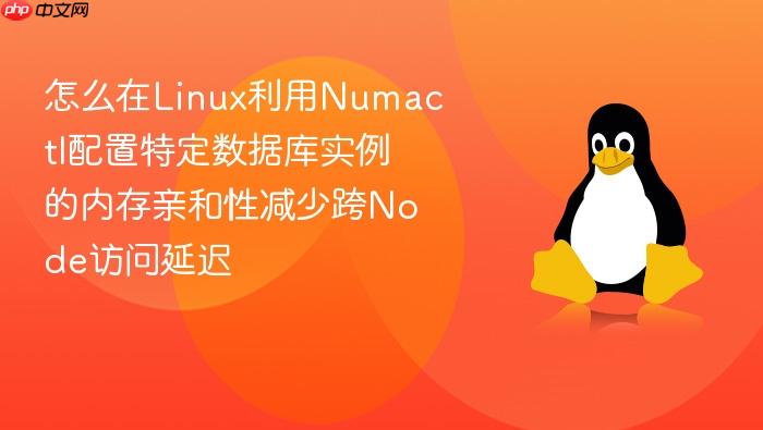 怎么在linux利用numactl配置特定数据库实例的内存亲和性减少跨node访问延迟