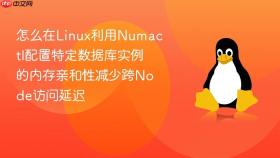 怎么在linux利用numactl配置特定数据库实例的内存亲和性减少跨node访问延迟