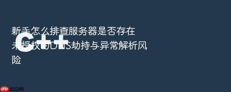 新手怎么排查服务器是否存在未授权的dns劫持与异常解析风险
