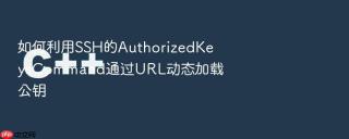 如何利用SSH的AuthorizedKeysCommand通过URL动态加载公钥