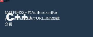 如何利用ssh的authorizedkeyscommand通过url动态加载公钥