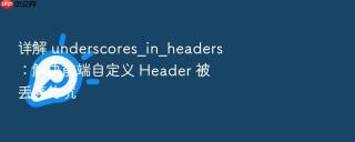 详解 underscores_in_headers:解决前端自定义 header 被丢弃的坑