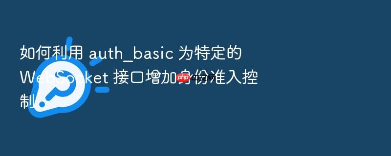 如何利用 auth_basic 为特定的 websocket 接口增加身份准入控制
