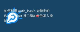 如何利用 auth_basic 为特定的 websocket 接口增加身份准入控制