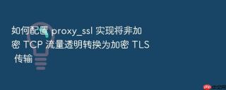 如何配置 proxy_ssl 实现将非加密 tcp 流量透明转换为加密 tls 传输
