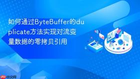 如何通过bytebuffer的duplicate方法实现对流变量数据的零拷贝引用