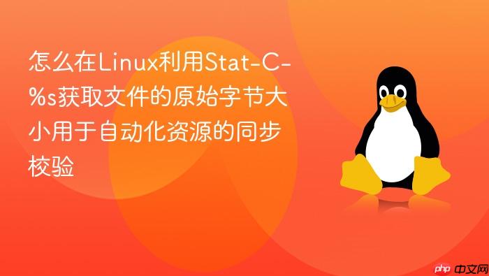 怎么在linux利用stat-c-%s获取文件的原始字节大小用于自动化资源的同步校验