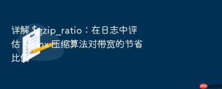 详解 $gzip_ratio:在日志中评估 nginx 压缩算法对带宽的节省比例